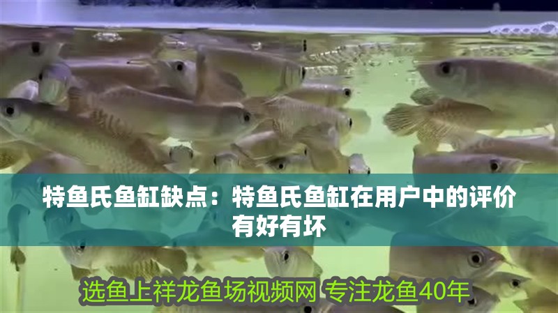 特魚氏魚缸缺點：特魚氏魚缸在用戶中的評價有好有壞 特魚氏魚缸缺點：特魚氏魚缸在用戶中的評價有好有壞 魚缸百科