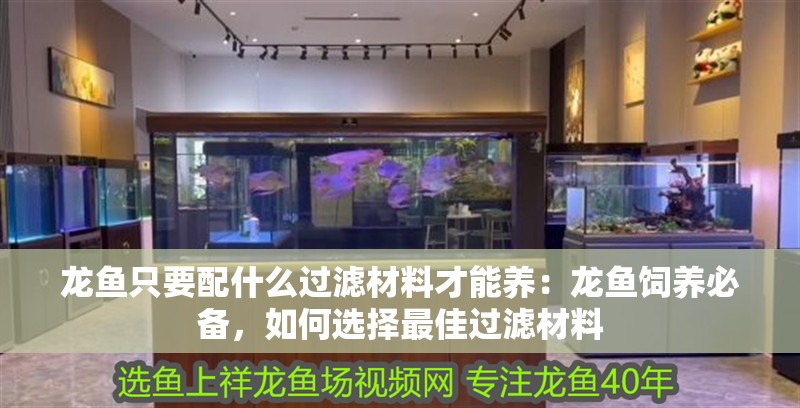 龍魚只要配什么過濾材料才能養：龍魚飼養必備，如何選擇最佳過濾材料