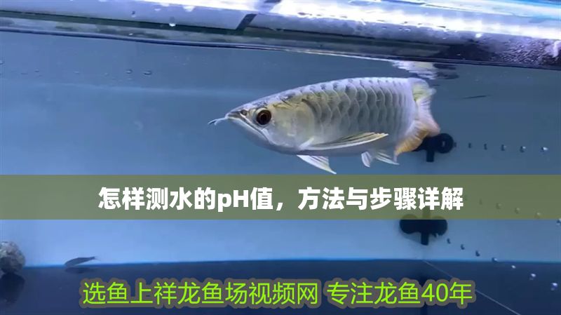 怎樣測水的pH值，方法與步驟詳解