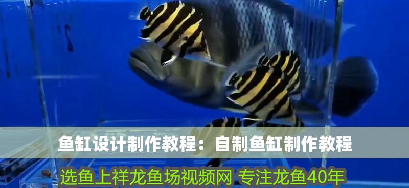 魚缸設計制作教程：自制魚缸制作教程