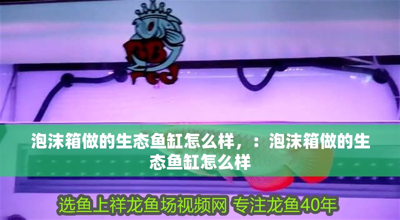 泡沫箱做的生態(tài)魚缸怎么樣，：泡沫箱做的生態(tài)魚缸怎么樣 泡沫箱做的生態(tài)魚缸怎么樣，：泡沫箱做的生態(tài)魚缸怎么樣 魚缸百科