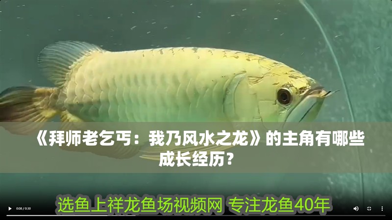 《拜師老乞丐：我乃風水之龍》的主角有哪些成長經歷？