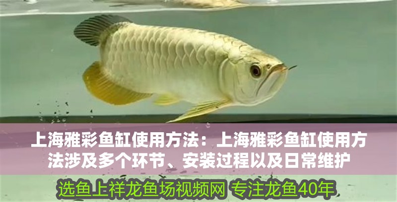 上海雅彩魚缸使用方法：上海雅彩魚缸使用方法涉及多個(gè)環(huán)節(jié)、安裝過程以及日常維護(hù)