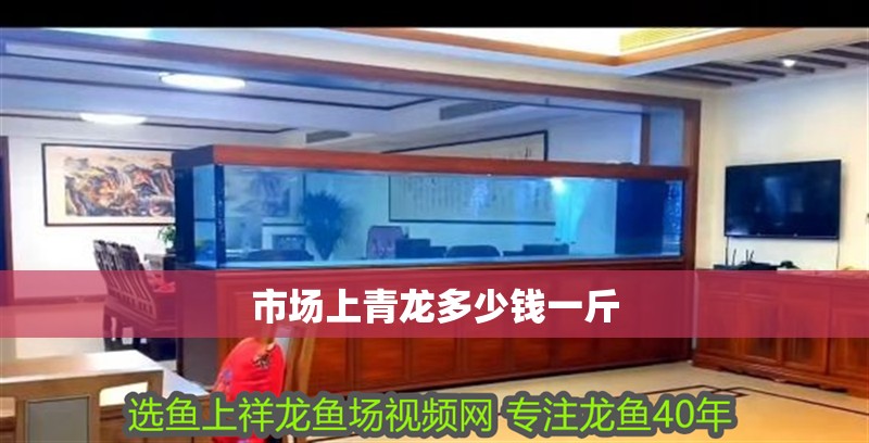 市場上青龍多少錢一斤