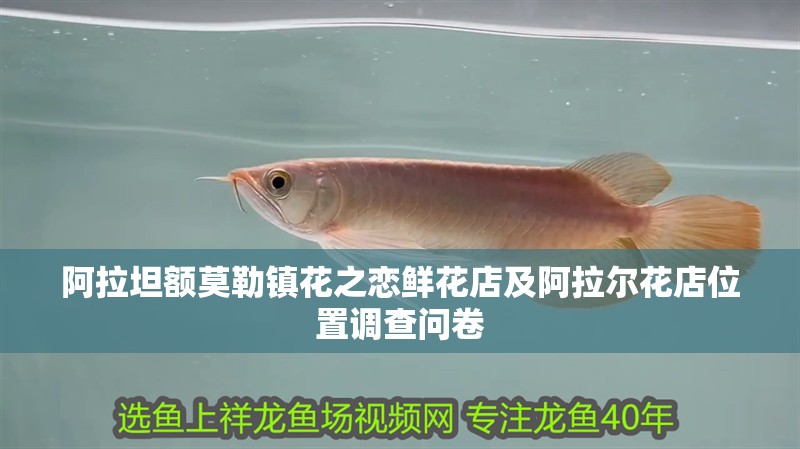 阿拉坦額莫勒鎮花之戀鮮花店及阿拉爾花店位置調查問卷