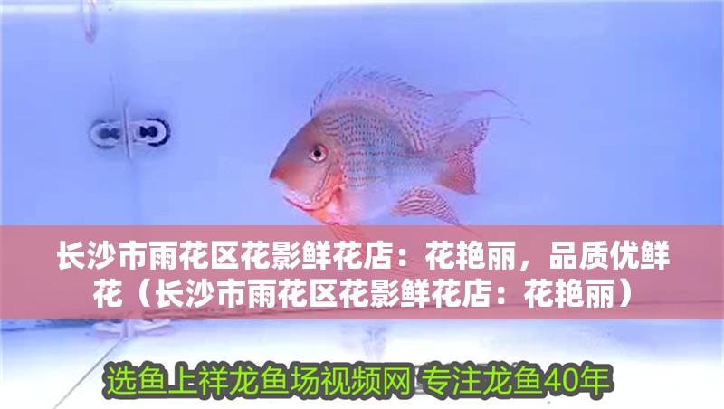 長沙市雨花區花影鮮花店：花艷麗，品質優鮮花（長沙市雨花區花影鮮花店：花艷麗）