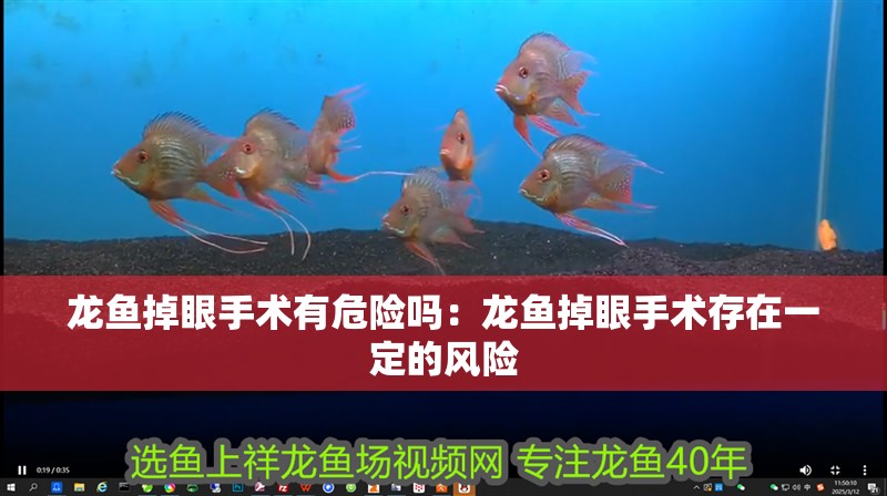 龍魚掉眼手術有危險嗎：龍魚掉眼手術存在一定的風險