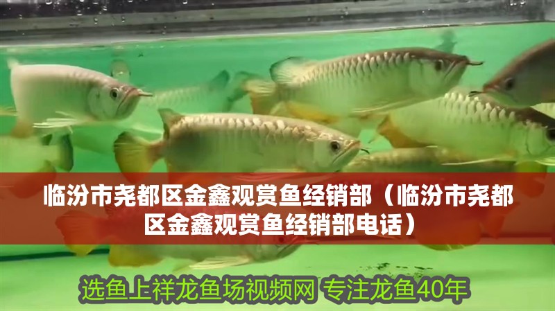 臨汾市堯都區金鑫觀賞魚經銷部（臨汾市堯都區金鑫觀賞魚經銷部電話）