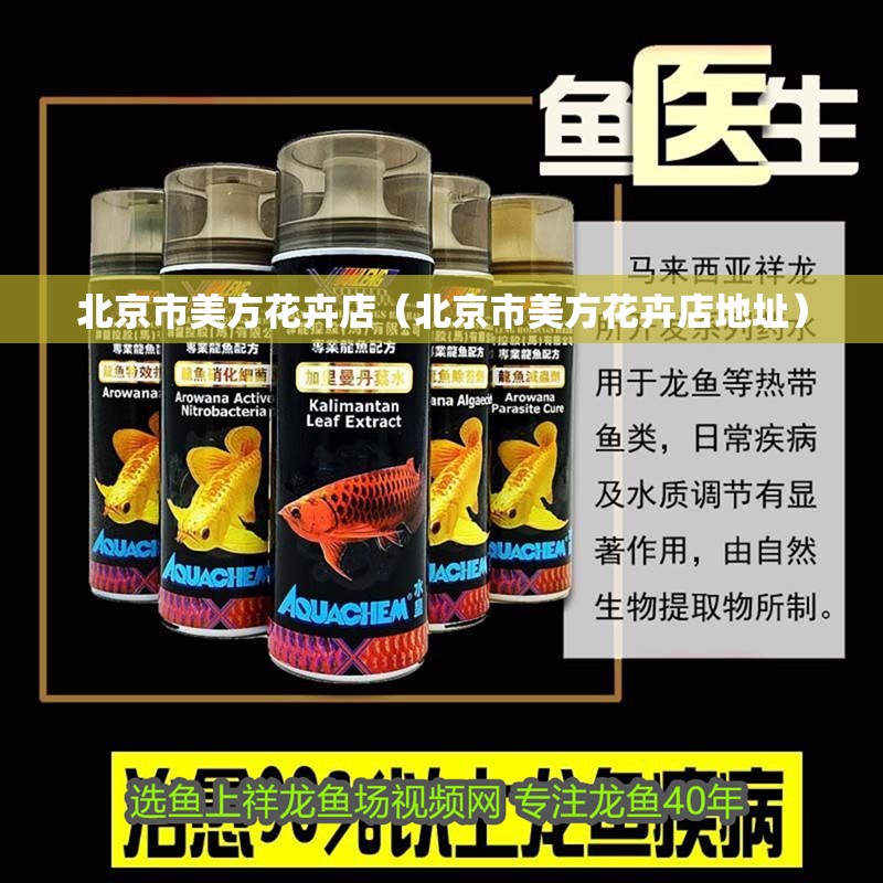 北京市美方花卉店（北京市美方花卉店地址） 北京市美方花卉店（北京市美方花卉店地址） 全國水族館企業(yè)名錄