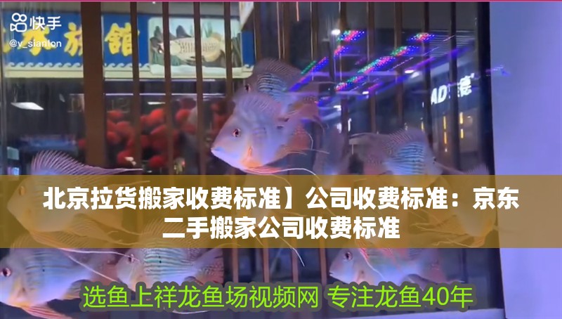 北京拉貨搬家收費標準】公司收費標準：京東二手搬家公司收費標準 北京拉貨搬家收費標準】公司收費標準：京東二手搬家公司收費標準 魚缸百科