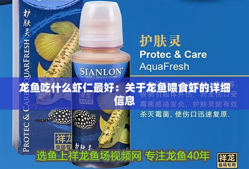 龍魚吃什么蝦仁最好：關于龍魚喂食蝦的詳細信息