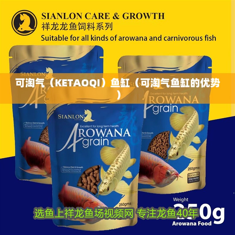 可淘氣（KETAOQI）魚缸（可淘氣魚缸的優勢） 可淘氣（KETAOQI）魚缸（可淘氣魚缸的優勢） 魚缸百科