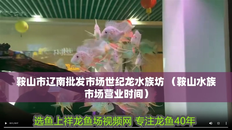 鞍山市遼南批發市場世紀龍水族坊 （鞍山水族市場營業時間）