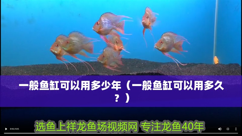 一般魚缸可以用多少年（一般魚缸可以用多久？） 一般魚缸可以用多少年（一般魚缸可以用多久？） 魚缸百科
