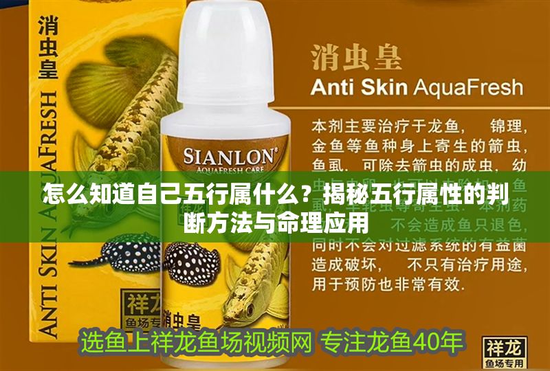 怎么知道自己五行屬什么？揭秘五行屬性的判斷方法與命理應(yīng)用 怎么知道自己五行屬什么？揭秘五行屬性的判斷方法與命理應(yīng)用 龍魚百科 第1張