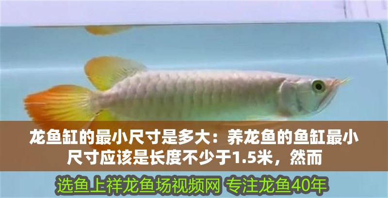 龍魚缸的最小尺寸是多大：養龍魚的魚缸最小尺寸應該是長度不少于1.5米，然而