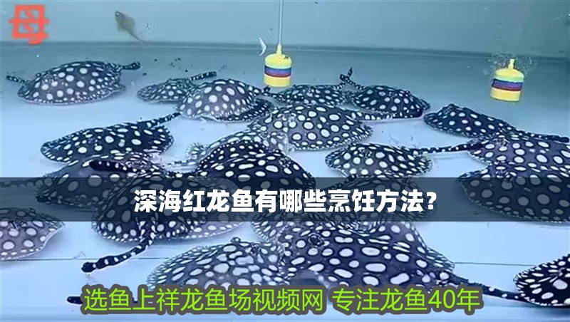 深海紅龍魚有哪些烹飪方法？ 深海紅龍魚有哪些烹飪方法？ 龍魚百科