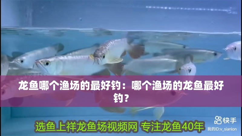 龍魚哪個(gè)漁場的最好釣：哪個(gè)漁場的龍魚最好釣？