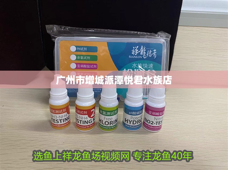 廣州市增城派潭悅君水族店