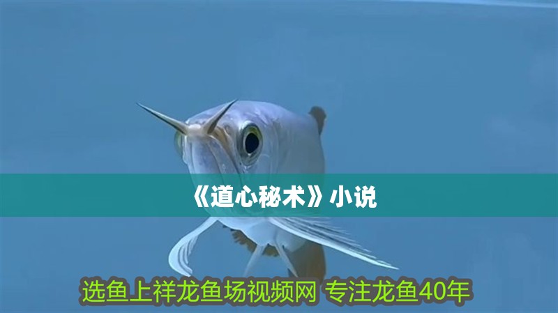 《道心秘術》小說
