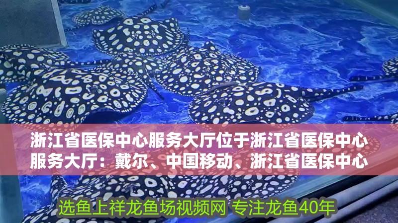 <strong><mark>浙江</mark></strong>省醫保中心服務大廳位于<strong><mark>浙江</mark></strong>省醫保中心服務大廳：戴爾、中國移動、<strong><mark>浙江</mark></strong>省醫保中心、<strong><mark>浙江</mark></strong>省省醫保中心號