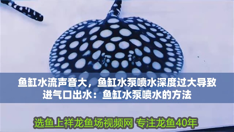 魚缸水流聲音大，魚缸水泵噴水深度過大導致進氣口出水：魚缸水泵噴水的方法