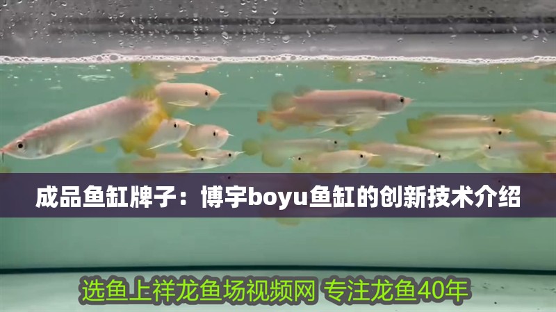成品魚缸牌子：博宇boyu魚缸的創(chuàng)新技術介紹