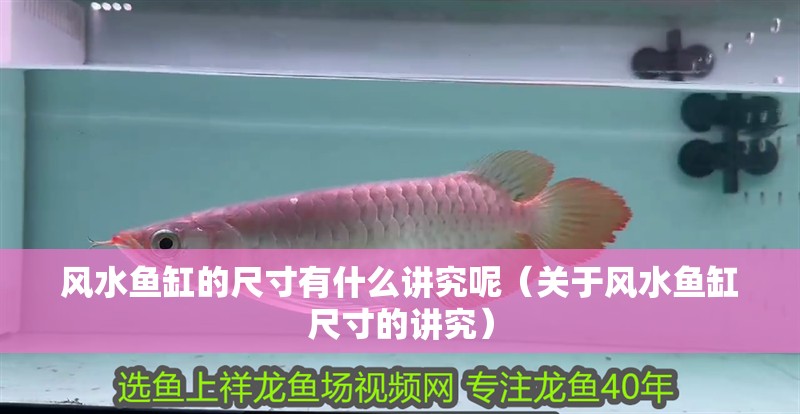 風(fēng)水魚缸的尺寸有什么講究呢（關(guān)于風(fēng)水魚缸尺寸的講究）