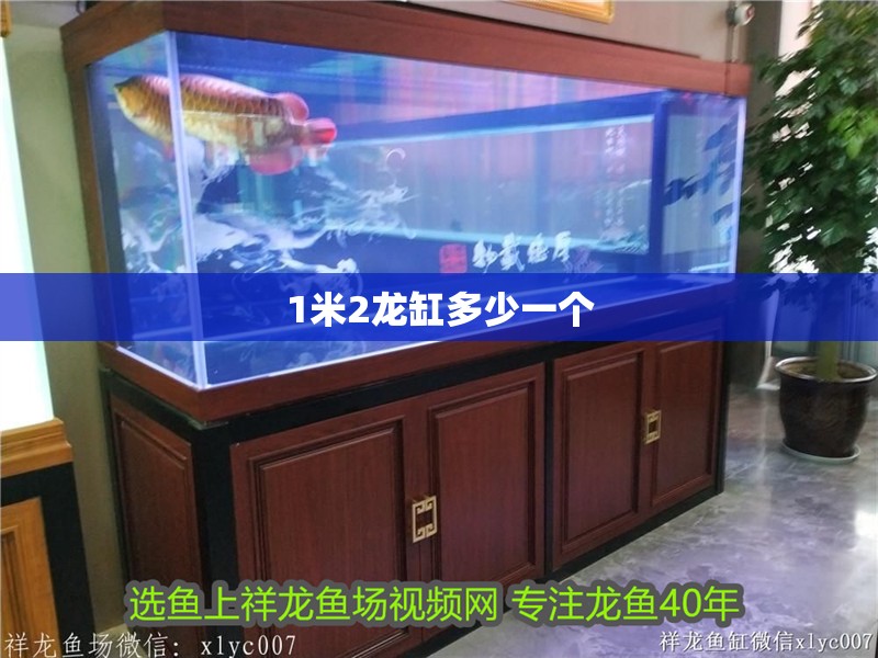 1米2龍缸多少一個