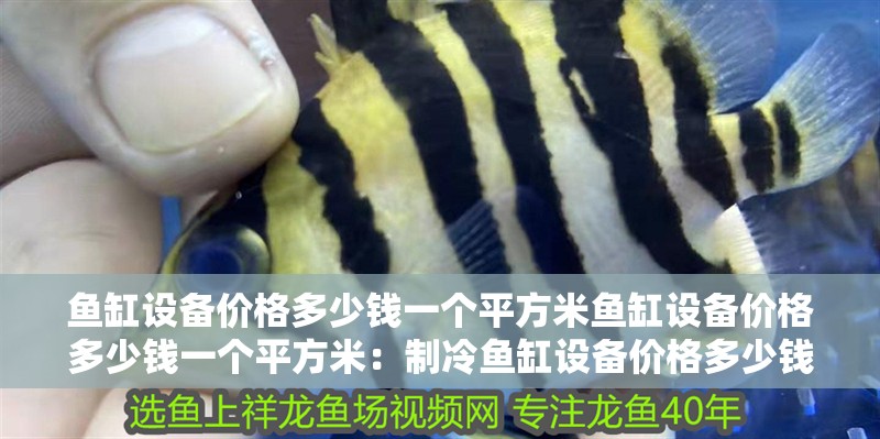 魚缸設備價格多少錢一個平方米魚缸設備價格多少錢一個平方米：制冷魚缸設備價格多少錢一個平方米