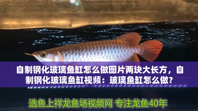 自制鋼化玻璃魚缸怎么做圖片兩塊大長方，自制鋼化玻璃魚缸視頻：玻璃魚缸怎么做？