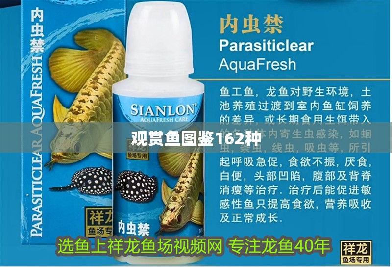 觀賞魚圖鑒162種