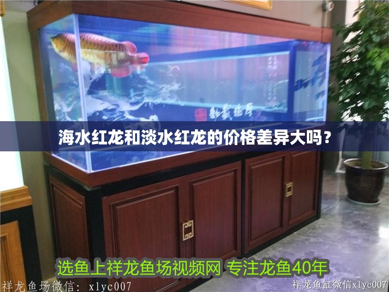 海水紅龍和淡水紅龍的價格差異大嗎？ 海水紅龍和淡水紅龍的價格差異大嗎？ 龍魚百科