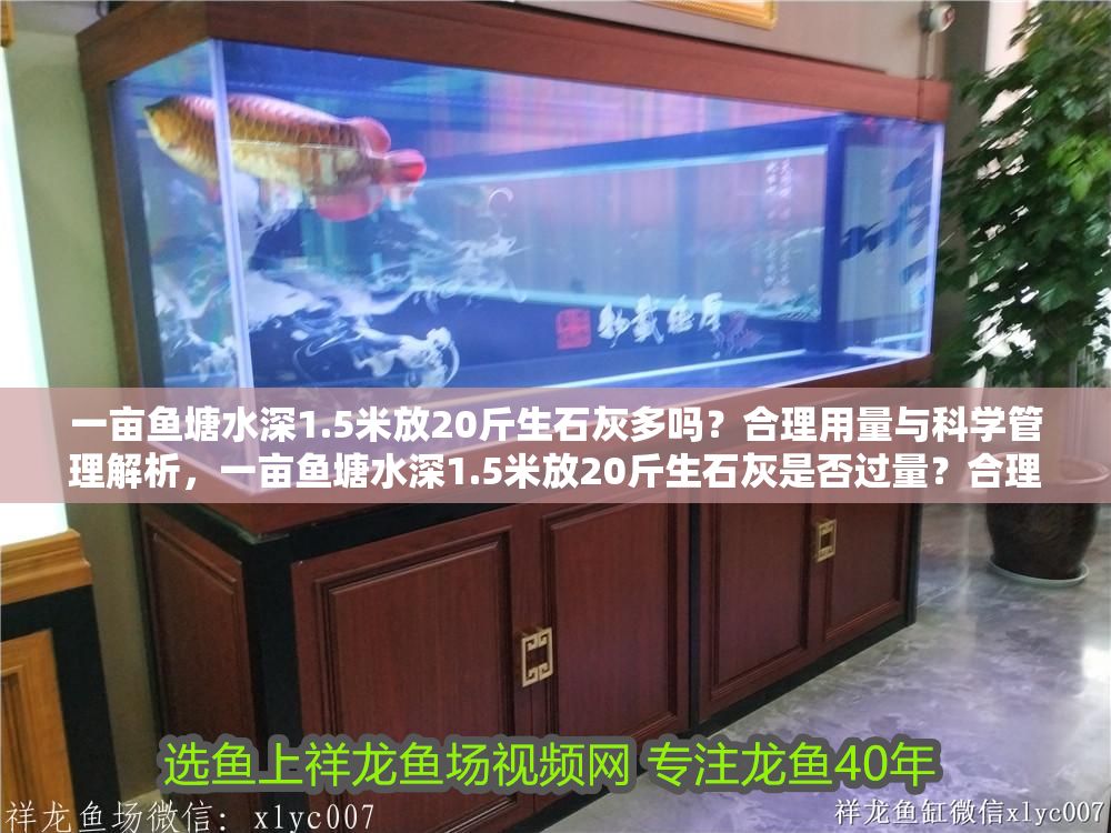 一畝魚塘水深1.5米放20斤生石灰多嗎？合理用量與科學(xué)管理解析，一畝魚塘水深1.5米放20斤生石灰是否過量？合理用量與科學(xué)管理詳解