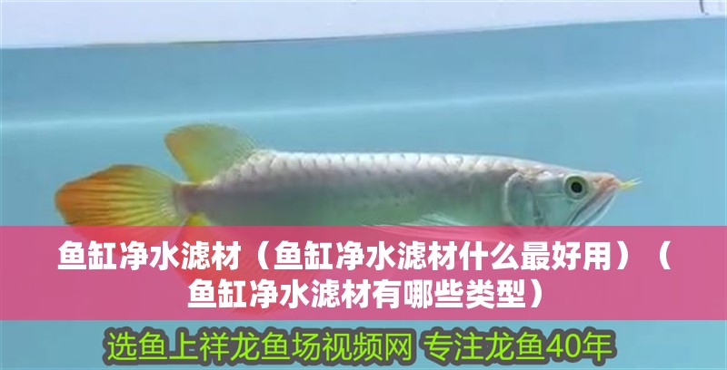 魚缸凈水濾材（魚缸凈水濾材什么最好用）（魚缸凈水濾材有哪些類型）