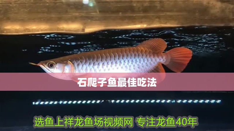 石爬子魚最佳吃法