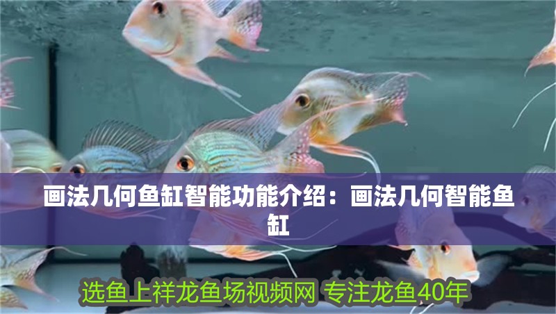 畫法幾何魚缸智能功能介紹：畫法幾何智能魚缸 畫法幾何魚缸智能功能介紹：畫法幾何智能魚缸 魚缸百科