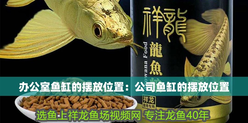 辦公室魚缸的擺放位置：公司魚缸的擺放位置