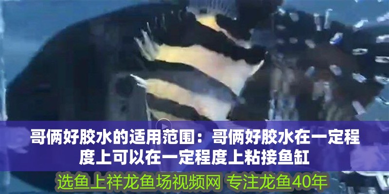 哥倆好膠水的適用范圍:哥倆好膠水在一定程度上可以在一定程度上粘接魚缸