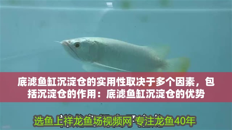 底濾魚缸沉淀倉的實用性取決于多個因素，包括沉淀倉的作用：底濾魚缸沉淀倉的優(yōu)勢 底濾魚缸沉淀倉的實用性取決于多個因素，包括沉淀倉的作用：底濾魚缸沉淀倉的優(yōu)勢 魚缸百科