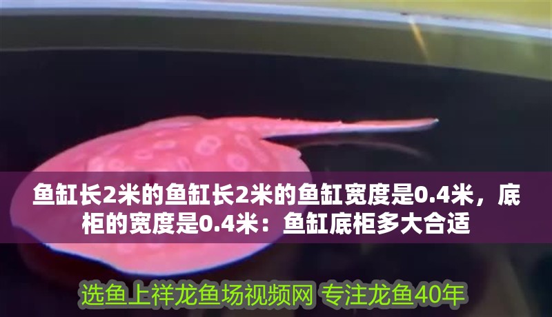 龍魚干蝦有營養嗎 魚缸長2米的魚缸長2米的魚缸寬度是0.4米,底柜的寬度是0.4米:魚缸底柜多大合適 魚缸百科 魚缸長2米的魚缸長2米的魚缸寬度是0.4米,底柜的寬度是0.4米:魚缸底柜多大合適 魚缸長2米的魚缸長2米的魚缸寬度是0.4米,底柜的寬度是0.4米:魚缸底柜多大合適 魚缸百科