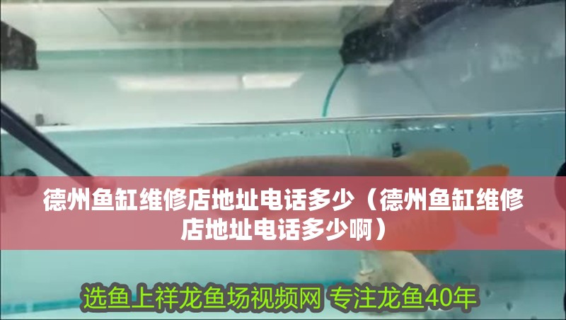 <strong><mark>德州</mark></strong>魚缸維修店地址電話多少（<strong><mark>德州</mark></strong>魚缸維修店地址電話多少啊）
