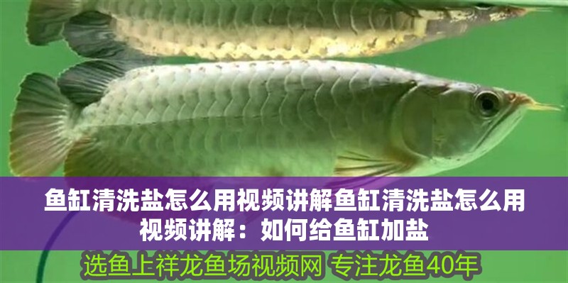 魚(yú)缸清洗鹽怎么用視頻講解魚(yú)缸清洗鹽怎么用視頻講解：如何給魚(yú)缸加鹽 魚(yú)缸清洗鹽怎么用視頻講解魚(yú)缸清洗鹽怎么用視頻講解：如何給魚(yú)缸加鹽 魚(yú)缸百科