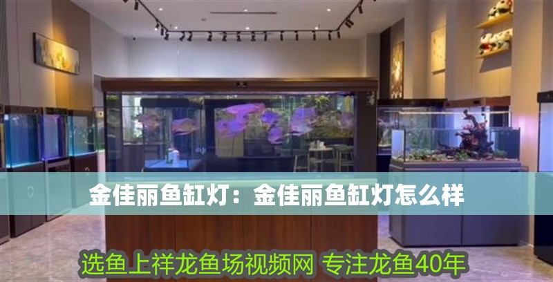 金佳麗魚缸燈:金佳麗魚缸燈怎么樣