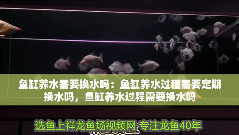 魚缸養水需要換水嗎：魚缸養水過程需要定期換水嗎，魚缸養水過程需要換水嗎