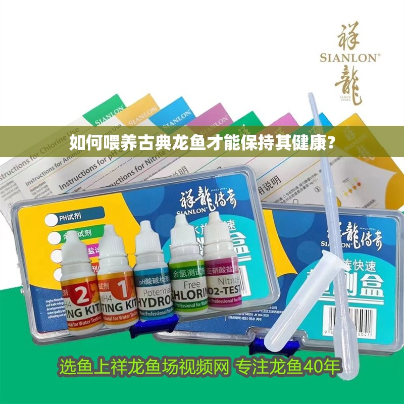 如何喂養(yǎng)古典龍魚才能保持其健康？