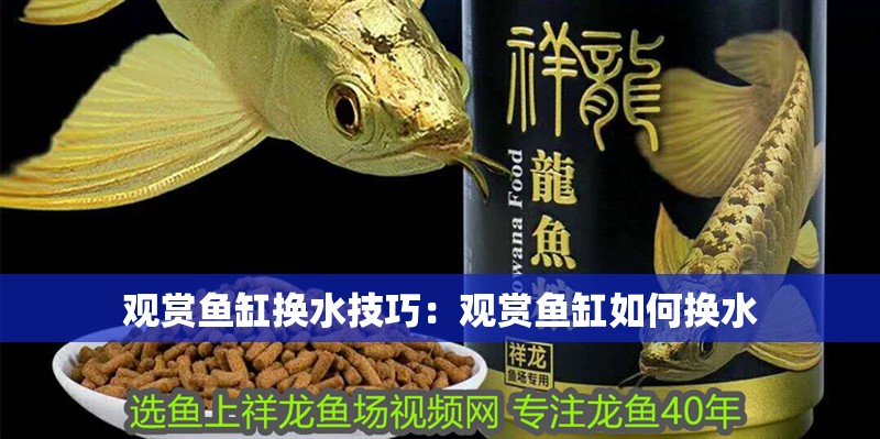觀賞魚缸換水技巧：觀賞魚缸如何換水 觀賞魚缸換水技巧：觀賞魚缸如何換水 魚缸百科