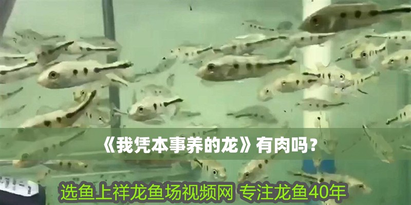 《我憑本事養的龍》有肉嗎?