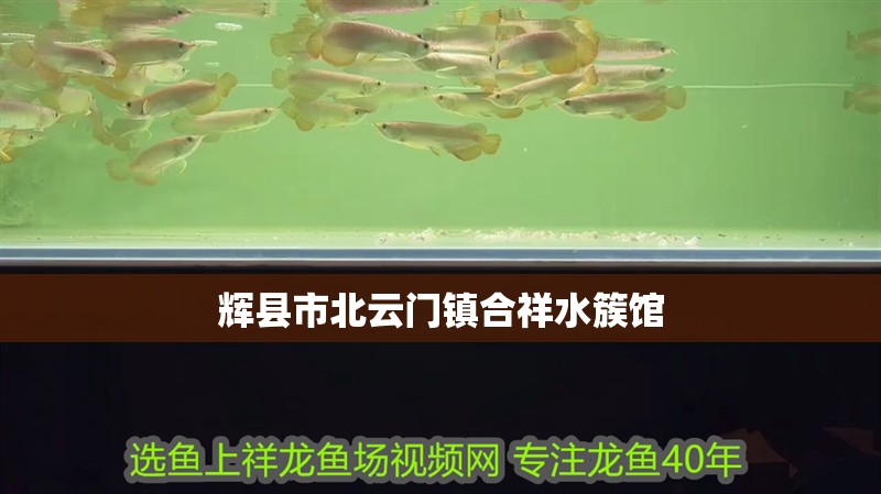 輝縣市北云門鎮合祥水簇館