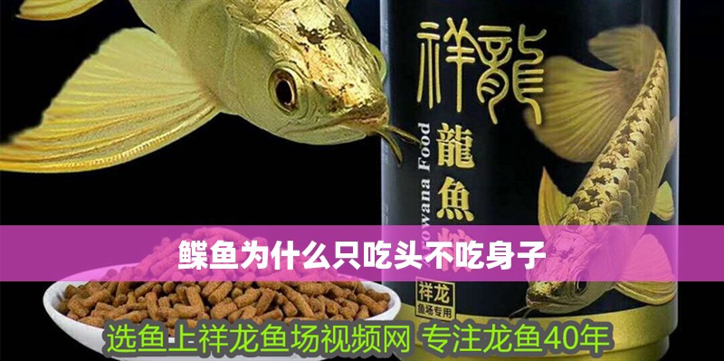 鰈魚為什么只吃頭不吃身子
